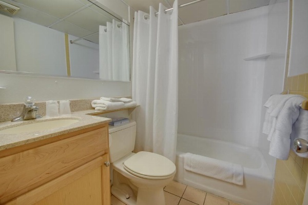 Flamingo Motel image 22