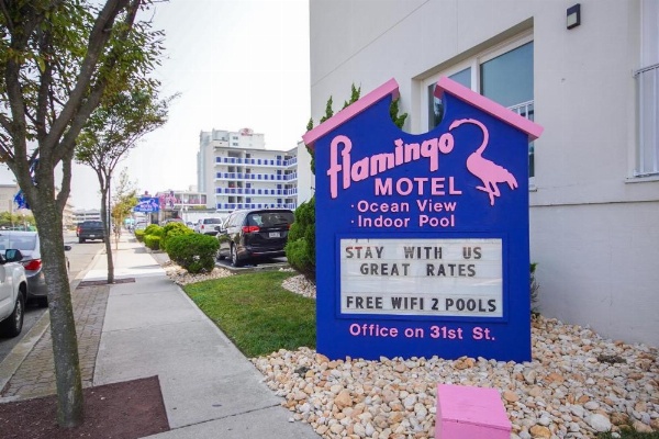 Flamingo Motel image 41