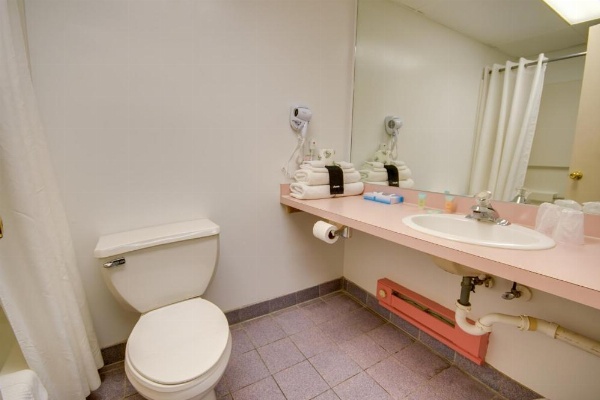 Flamingo Motel image 49