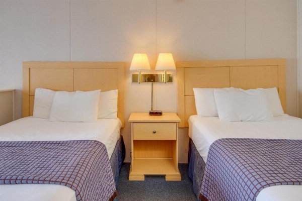 Flamingo Motel image 55